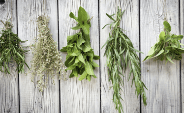 Avid Gardner: Tips for growing herbs in containers