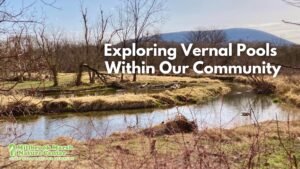 Exploring vernal pools FB event cover