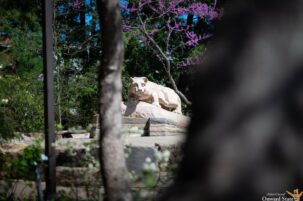 Penn State Faculty Senate Pushes Back on Campus Closures, Calls for ‘Detailed, Public Assessment’